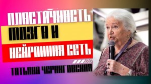 Пластичность мозга и нейронная сеть. Татьяна Черниговская