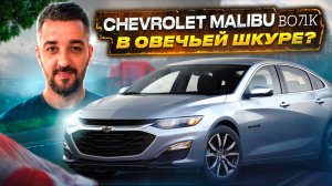 Автомобили из Кореи под заказ | Chevrolet Malibu 2020 #автоподзаказ#автоизкореи