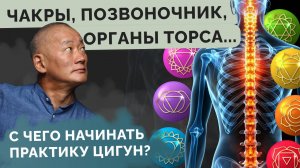 Чакры, позвоночник, органы торса.
С чего начинать практику Цигун?
