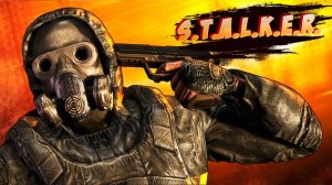S.T.A.L.K.E.R. Shadow of Chernobyl | Тень Черно́быля | Назад в 2012 #4 ФИНАЛ