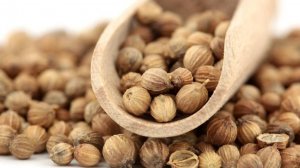 Хранение и обработка кориандра