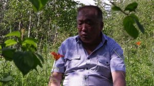 Кэргэммэр - Виктор НОВИКОВ