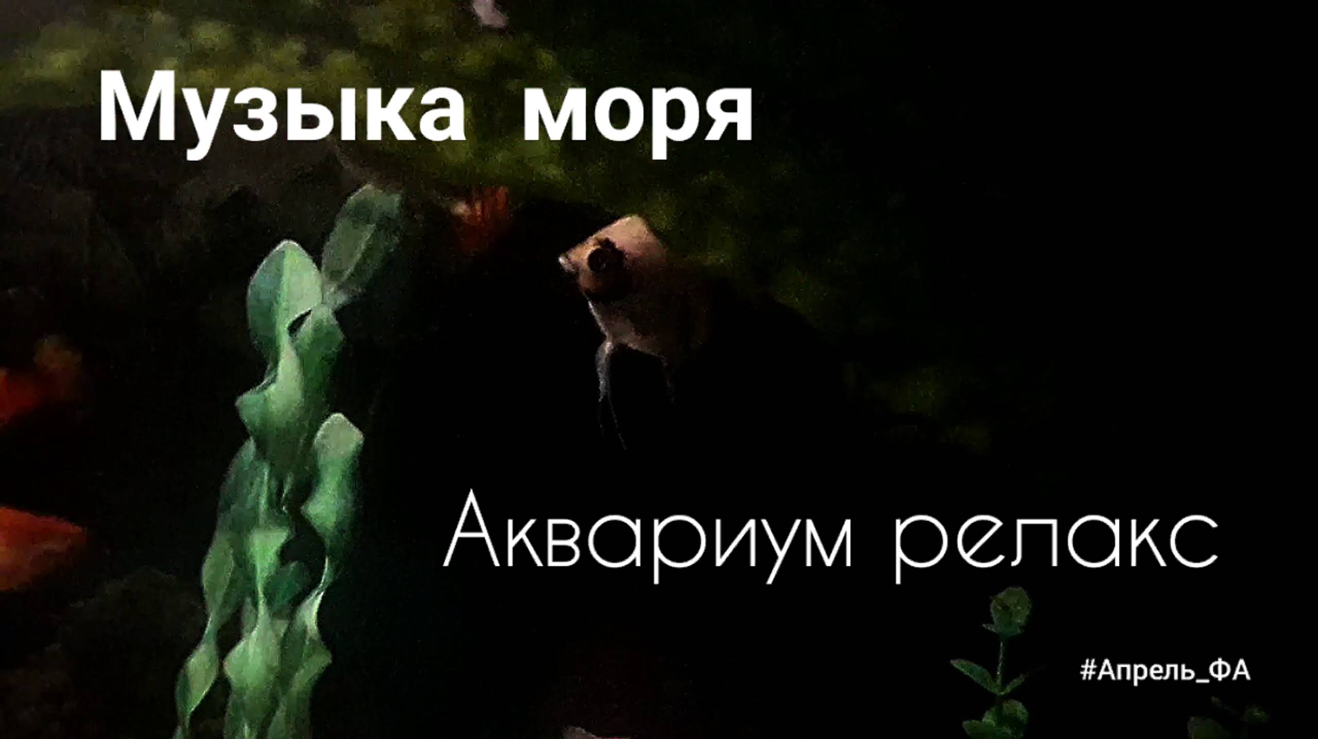 Музыка моря. Аквариум релакс