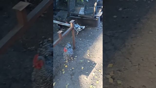 Домашний антикор порогов авто
