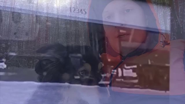 Проводница выбросила кота Твикса из поезда в 30°С мороз! Помогите подписать петицию!