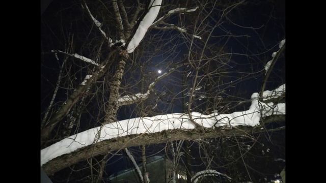 Луна авторское видео клип музыка из свободного доступа