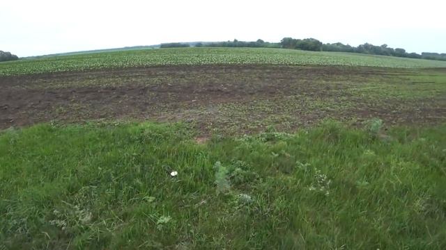 За орловским голавлём смотреть онлайн