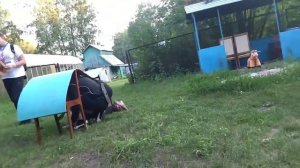 Летний лагерь  в Бурмистрово День 1 _17 июля. 2023г.