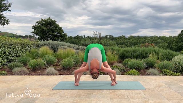 Красивая осанка смотреть онлайн