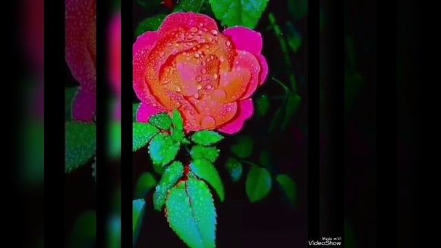 Карлар булып