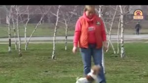 Породы собак как строчки из песни и знаки зодиака