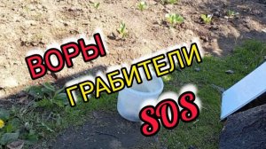 В огороде Воры Просроченный Арбуз VLOG Дневник молодой мамы Семейный канал