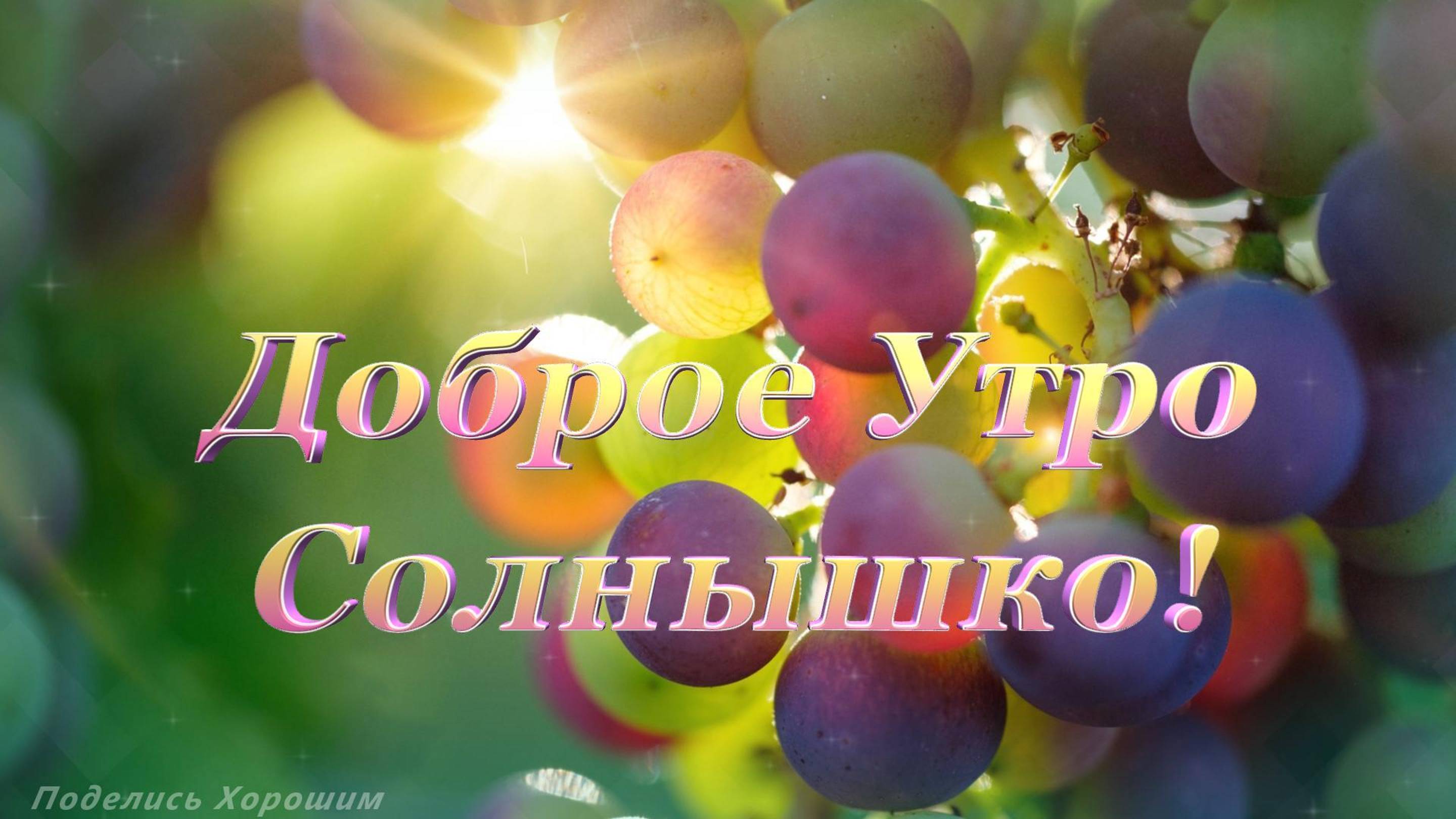 Доброе Утро Солнышко! Красивая открытка!