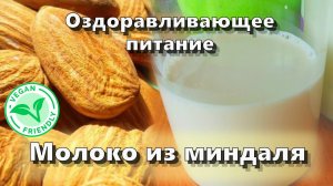 Молоко из миндаля — Рецепты — Оздоравливающее питание
