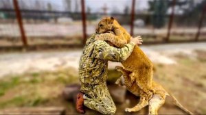 Молодые львы просто НАКИНУЛИСЬ на Олега Зубкова обниматься, КАКАЯ МИЛОТА!