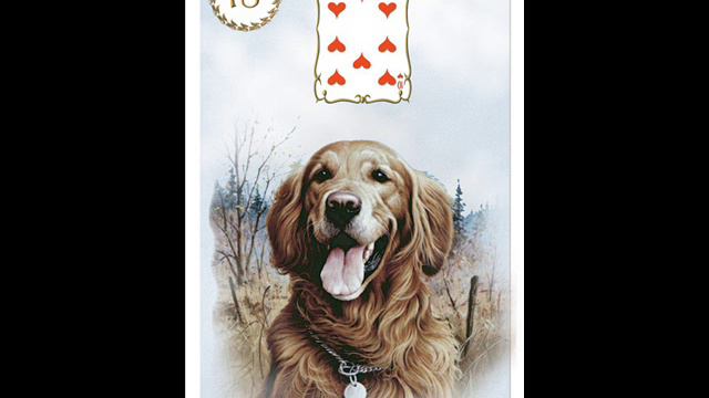 Alone's vision Lenormand card. ✨ Видеогалерея колоды Ленорман.