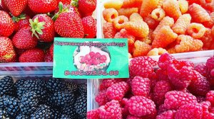 Окончание первого клубничного сезона.2021 год Архив)