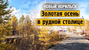 Золотая осень в рудной столице / Талнах наши дни / Жизнь в русской арктике