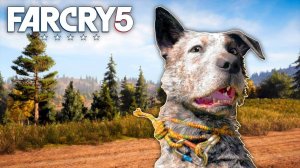 За свободу. Far Cry 5