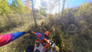 Биджа 2024 бронза. часть1