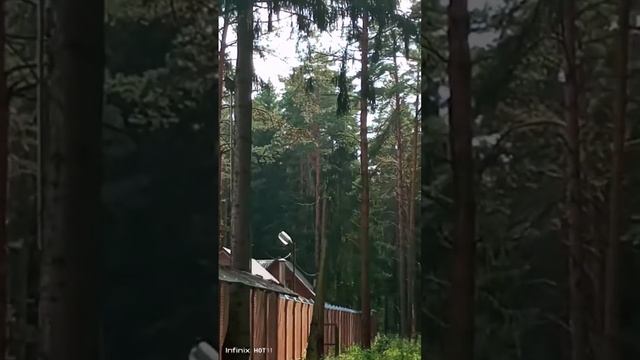 Электромонтажные работы