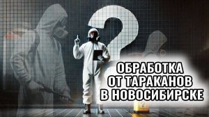 Травля тараканов в Новосибирске | Ответы на основные вопросы 🦟