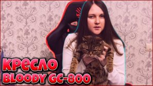 ЧТО СТАЛО С КРЕСЛОМ Bloody GC-800 СПУСТЯ 3 МЕСЯЦА ОБЗОР НА КРЕСЛО ПИКСЕЛЬНАЯ НАСТЯН