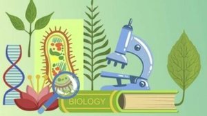 Биология 6 класс. Деление клетки.--