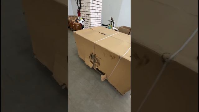 Поступление техники в Master Moto #мотосалон #квадроцикл #питбайк #эндуро #мопед смотреть онлайн