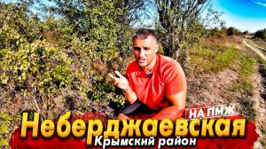 ПЕРЕЕЗД В КРАСНОДАРСКИЙ КРАЙ НА ПМЖ В 2024. НЕБЕРДЖАЕВСКАЯ -СУПЕР МЕСТО ДЛЯ ЖИЗНИ СРЕДИ ГОР И ЛЕСА!