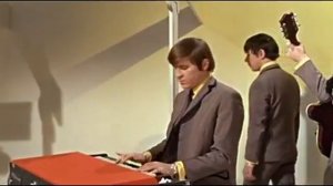Animals vs Звери - Video Mashup