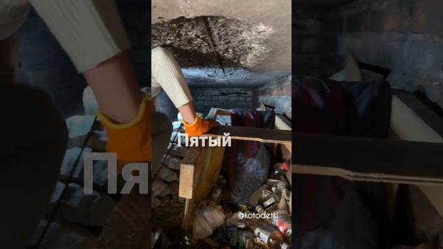 Нам нужна ваша помощь!💔
Мы спасли четверых больных котят из подвала, где они родились...