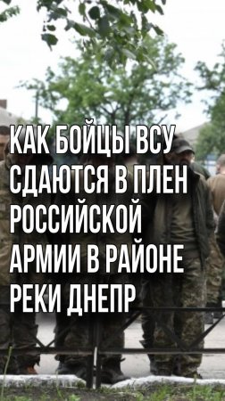 ВСУшники сдались в плен российской армии. Смотрите, как это было