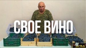 ДОМАШНЕЕ ВИНО из ДОМАШНЕГО ВИНОГРАДА простой рецепт