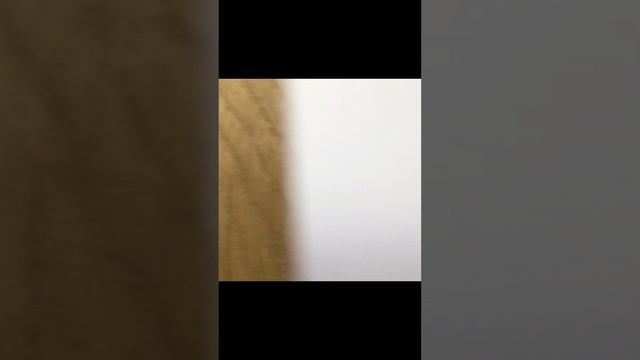 Мультик пультик смотреть онлайн