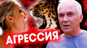 Агрессию придумали люди  Александр Ковальчук  Психолог Отвечает