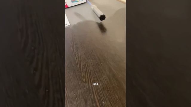 Как быстро избавиться от пыли #cleaning #экология смотреть онлайн