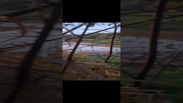 1000000346.mp4