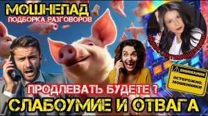 Мошенники звонят. Палитра схем развода _Нюша _Антимошенники