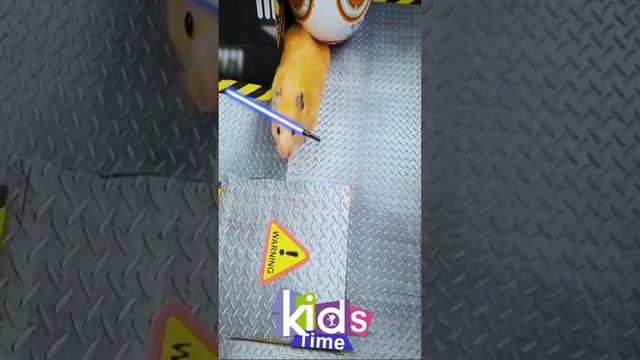 #Shorts Хомяк Хома! BB 8 против Хомяка
