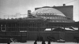 В белоснежных полях
