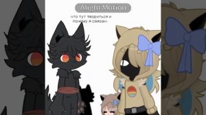 Topper and NOT Corry