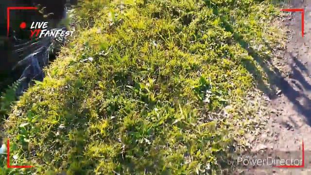 E se cada um fizer a sua parte ? смотреть онлайн