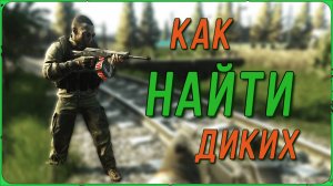 Как найти Диких если тебе нужно сделать квест в игре Escape from Tarkov