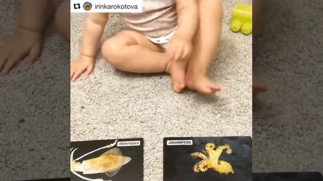 Занимаемся по Умнице. Комплект "Мир на ладошке". Лера, 1 год
