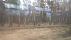Поездка на рельсовом автобусе РА 3 от Голутвин до Озёры