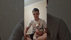 обзор на Тошу