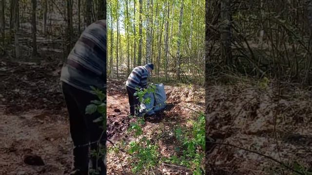 тренировка с мешком - древним тренажёром