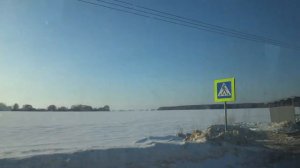 Ступино, автобус 29, участок Госконюшня - Костомарово