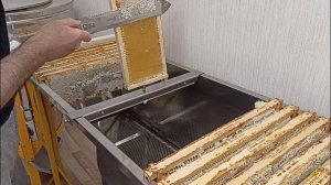 Качаю мёд. Пчеловод-любитель